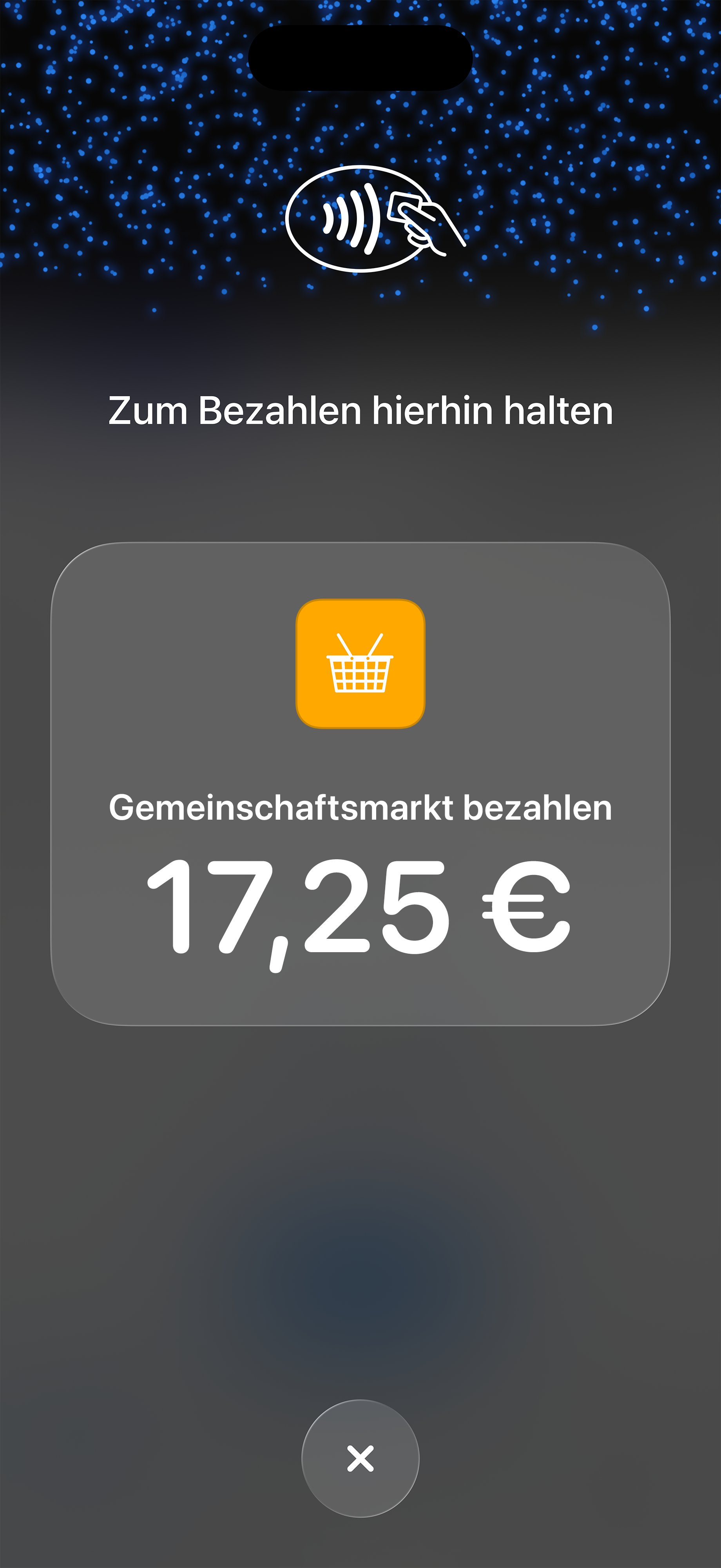 Screenshot: Kartenzahlung am Handy in der Equidesk App